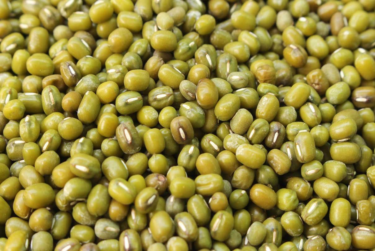 Green-Geam-New Green-Geam-New