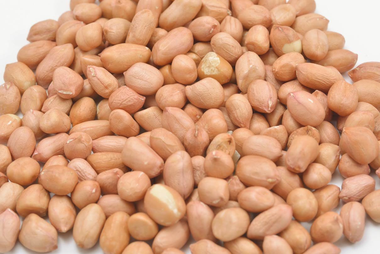 Ground-Nut-New Ground-Nut-New