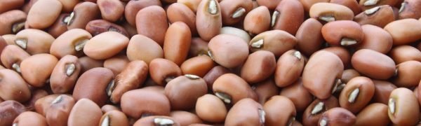 Flat-Gram-New Flat-Gram-New