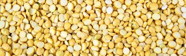 Gram-Dal-New Gram-Dal-New