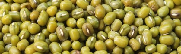 Green-Geam-New Green-Geam-New