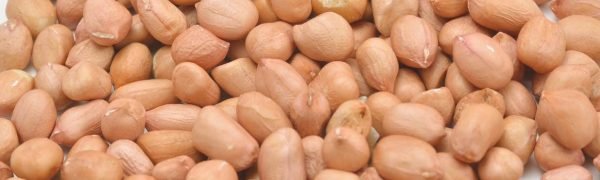 Ground-Nut-New Ground-Nut-New