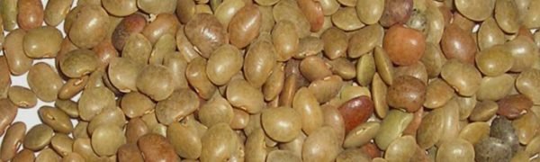 Horsegram1 Horsegram1
