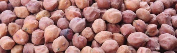 product-blackchanna1 product-blackchanna1