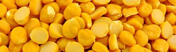 product-channadal1 product-channadal1