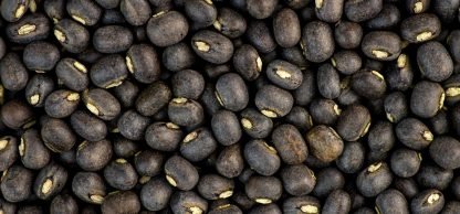 urud-Dal1 urud-Dal1